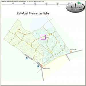 Kartenausschnitt Muster